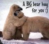 Bear Hug