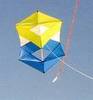 Flown a Kite