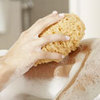 Bath Sponge