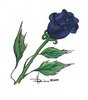 Black Blue Rose ~&lt;3