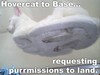 Hover cat 