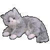 Stuffed Gray Cat