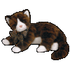 Stuffed Brown Cat