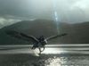 a flight on Buckbeak