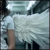 angel wings