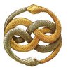 The Auryn