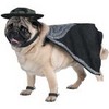 dress as zorro