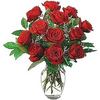 12 Red Roses*