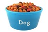 dog food