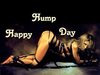 HAPPY HUMP DAY