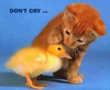 DON'T CRY! :)