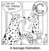 'A teenage Dalmatian' 'Oh no!