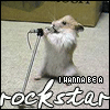 I wanna be a ROCKSTAR!