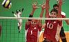 volley kitty