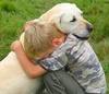 A hug from your pet
