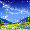 Wishing On A Falling Star