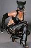 Catwoman Outfit