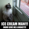 ...the Ice Cream Man!!!