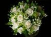 cream roses bouquet