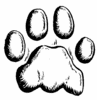 lion paw print