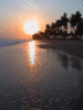 Sunset walk on the beach