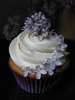 Cuppycake!