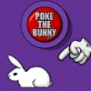 Bunny Pokes