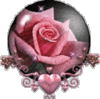 Rose Globe