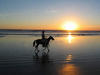 Horseback Ride Along the Beach
