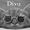 -*~DiVa~*-