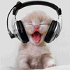 Cat Music Meow Meow