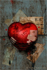 Injured Heart