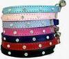 Studded Collars. Cats and dogs!