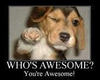 You're Awesome!!!!