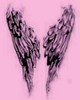 Angel Wings