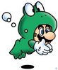 Mario's Frog Suit