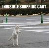 invisible shopping cart.