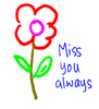 Message: Miss you always
