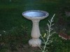 Birdbath 