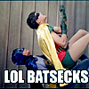 Holy Batsecks Batman!