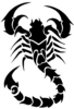 Scorpian Tattoo