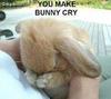 You Make Bunny Cry!