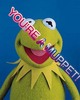 You're a muppet...