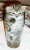 Cat in a Glass