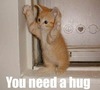 Cat Hug!! ♥