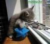 Back Off! pet sniper protection