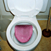 Self Cleaning Toilet
