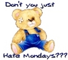 Don't You Just Hate Monday's