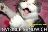 Invisible sandwich