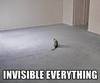 Invisible EVERYTHING!!!